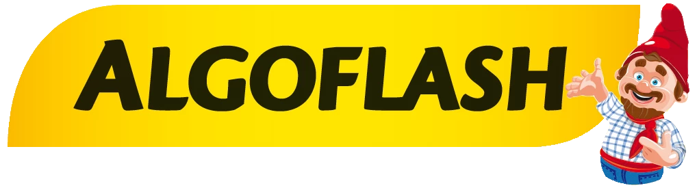 ALGOFLASH Soldes Magasin