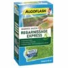 ALGOFLASH - Semance Gazon Regarnissage Express - 1 Kg