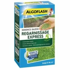 ALGOFLASH - Semance Gazon Regarnissage Express - 1 Kg
