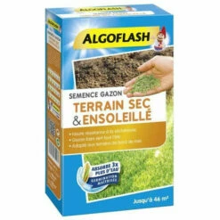 ALGOFLASH Semences Gazon Terrain Sec Et Ensoleillé - 1 Kg