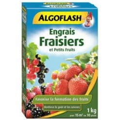 ALGOFLASH Engrais Fraisiers Et Petits Fruits 1 Kg