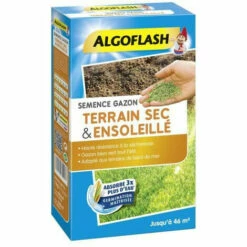 ALGOFLASH - Gazon Terrain Sec Ensoleillé 1kg