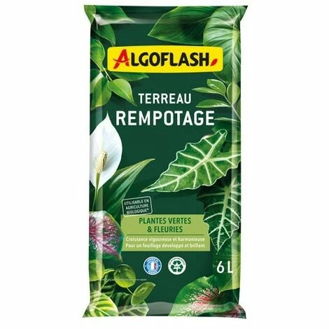ALGOFLASH - Terreau Rempotage Plantes Vertes Et Plantes Fleuries 6l /nc 1 ALGOFLASH - Terreau Rempotage Plantes Vertes Et Plantes Fleuries 6l /nc
