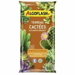 ALGOFLASH - Terreau Cactées Et Plantes Grasses 6l /nc