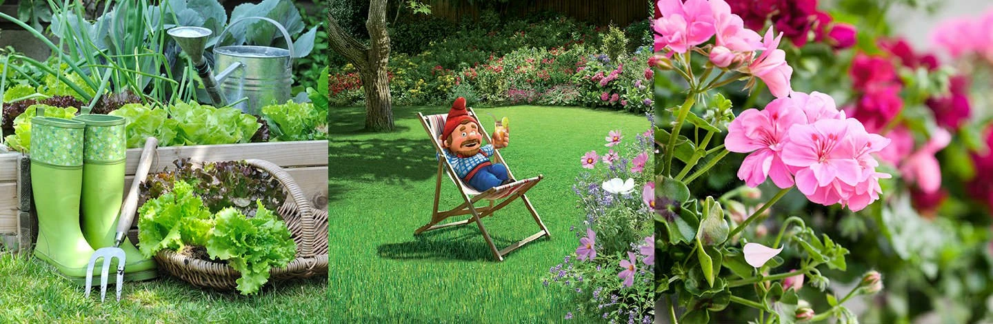 ALGOFLASH Soldes Magasin -ALGOFLASH Soldes Magasin